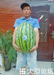 51今日吃瓜热门大瓜视频,揭秘热门大瓜视频背后的惊人真相